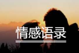 婚姻挽救